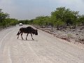 DSC09894