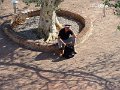 DSC09898