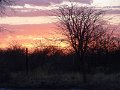 DSC09973