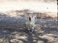 DSC09991