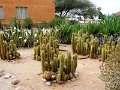 DSC00241