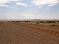 DSC00251