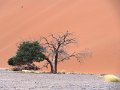 DSC00255