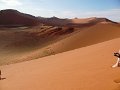 DSC00281
