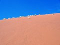 DSC00293