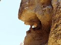 DSC00334