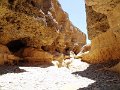 DSC00339