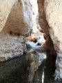 DSC00341