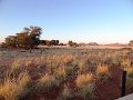 DSC00354