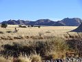 DSC00378