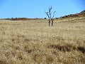 DSC00423