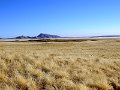 DSC00430