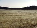 DSC00437