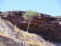DSC00559