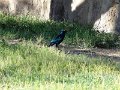 DSC00692