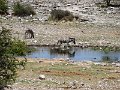 DSC00706