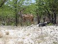 DSC00721