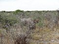 DSC00749