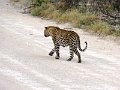 DSC00757
