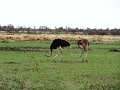 DSC00763