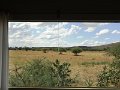 DSC00838