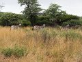 DSC00847