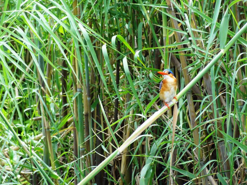 DSC03626.JPG