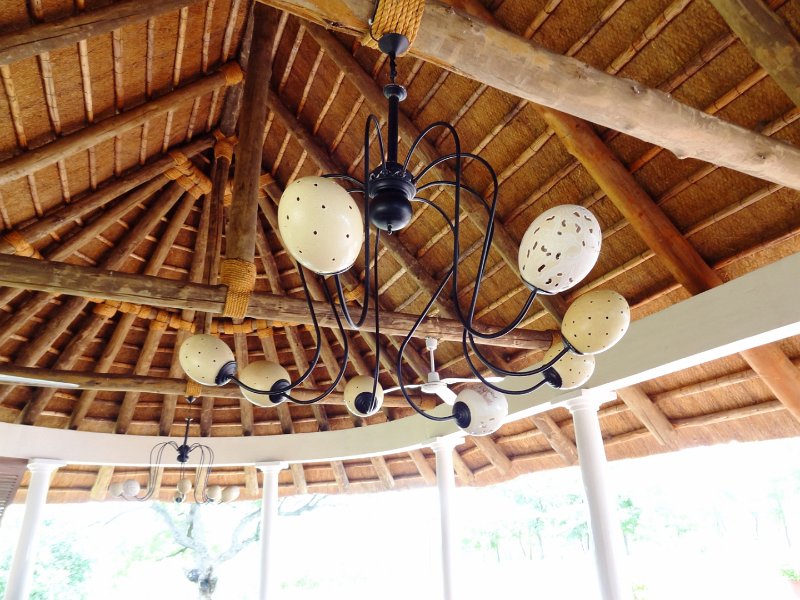 DSC03652.JPG - Lampe aus Straußeneiern