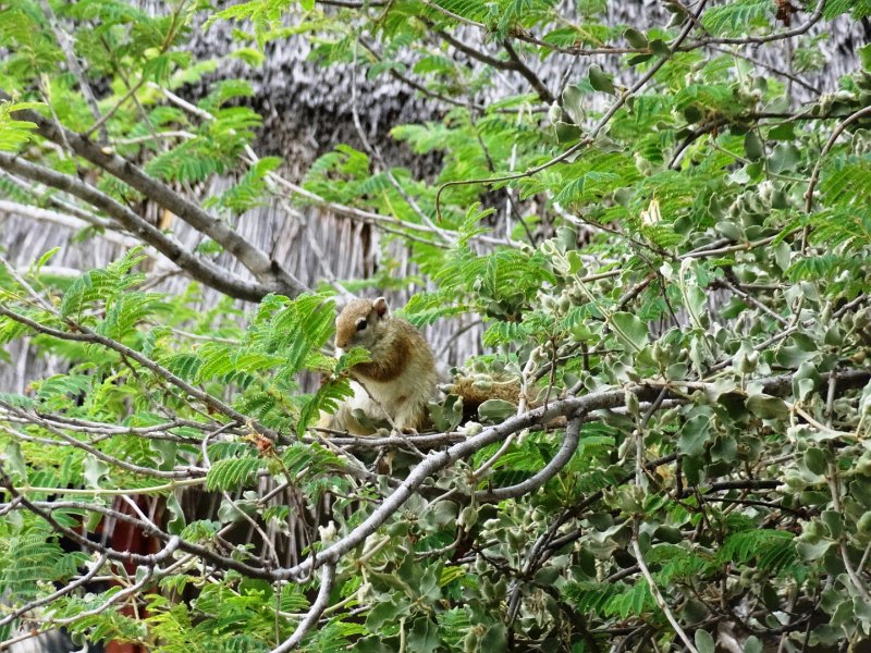 DSC03834.JPG
