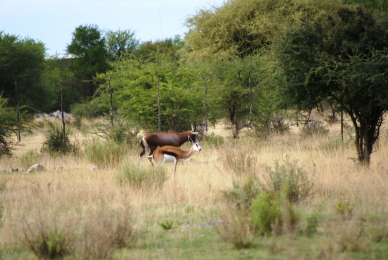 DSC06010.JPG