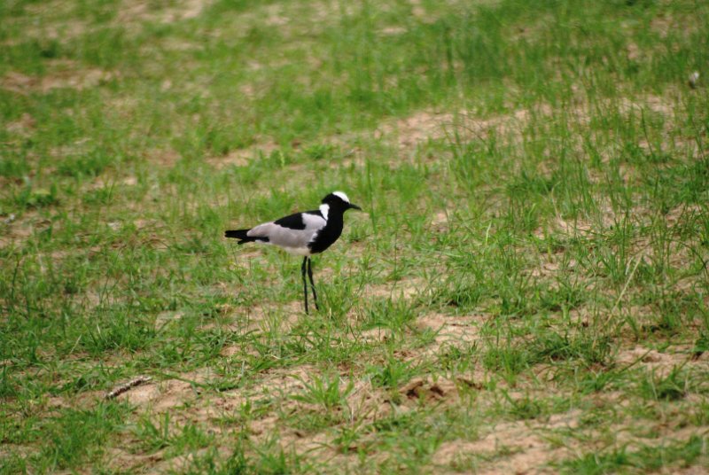 DSC06053.JPG