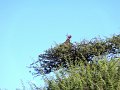 DSC03157