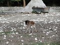 DSC03160