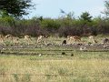 DSC03202