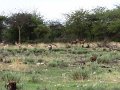DSC03220