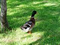 DSC03226