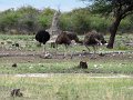 DSC03291