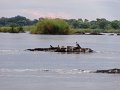 DSC03325