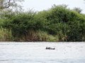DSC03339