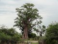 DSC03352