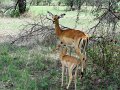 DSC03372