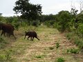 DSC03445