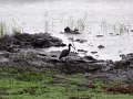 DSC03495
