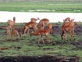 DSC03500