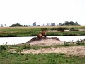 DSC03522