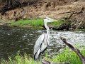 DSC03600