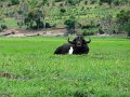 DSC03616