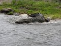DSC03623