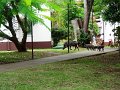 DSC03655