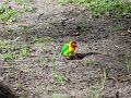 DSC03716